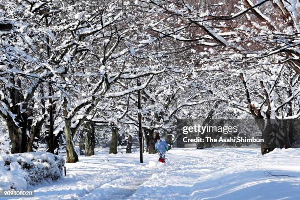 Staff remove snow from a path at Yoyogi Park on January 23, 2018 in Tokyo, Japan. The snowstorm affected traffic and public transport in the capital...