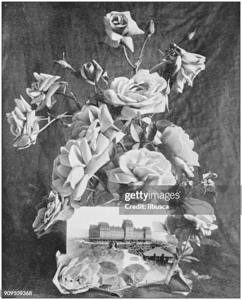 antique photograph of world's famous sites: pasadena and its roses - pasadena california stock illustrations