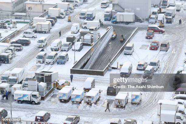 Tsukiji Fish Market is covered with snow on January 23, 2018 in Tokyo, Japan. The snowstorm affected traffic and public transport in the capital and...