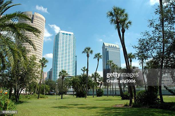 downtown tampa - from plant park - tampa park stock pictures, royalty-free photos & images