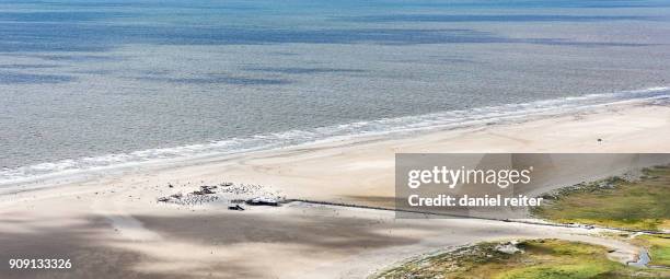 küsten landschaft mit strandkörben - sankt peter ording - fotografias e filmes do acervo