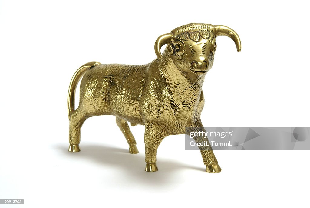 Spanish Bull Statue