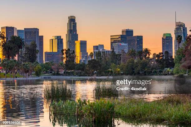 los angeles skyline at dawn looking from echo park - los angeles park stock pictures, royalty-free photos & images