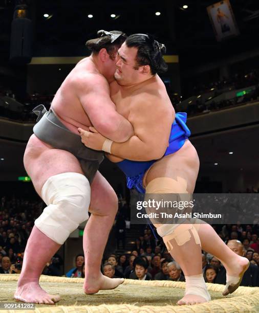 Georgian wrestler Tochinoshin pushes Kotoshogiku out of the ring to win during day ten of the Grand Sumo New Year Tournament at Ryogoku Kokugikan on...