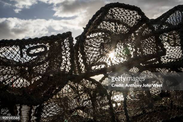 lobster and crab creels stacked at shieldaig harbour, west coast of scotland - shieldaig stock pictures, royalty-free photos & images