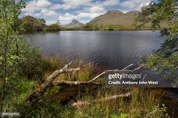 stac pollaidh in the assynt hills from loch cul dromannan, assynt, scotland - stac pollaidh foto e immagini stock