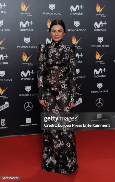 Miren Ibarguren attends Feroz Awards 2018 at Magarinos Complex on January 22, 2018 in Madrid, Spain.