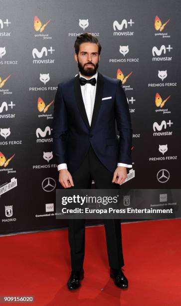 Alex Barahona attends Feroz Awards 2018 at Magarinos Complex on January 22, 2018 in Madrid, Spain.