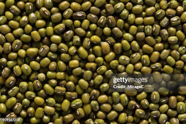 mung bean - mung bean stock pictures, royalty-free photos & images