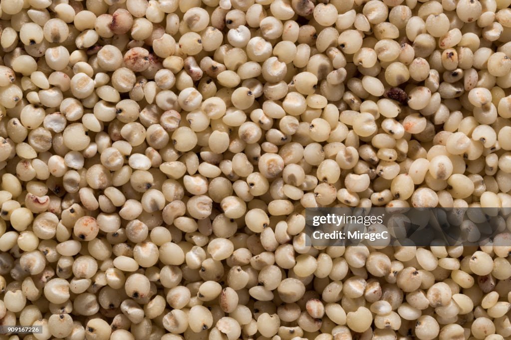 Sorghum Grains