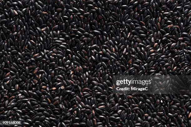 black rice grains - black rice stock pictures, royalty-free photos & images