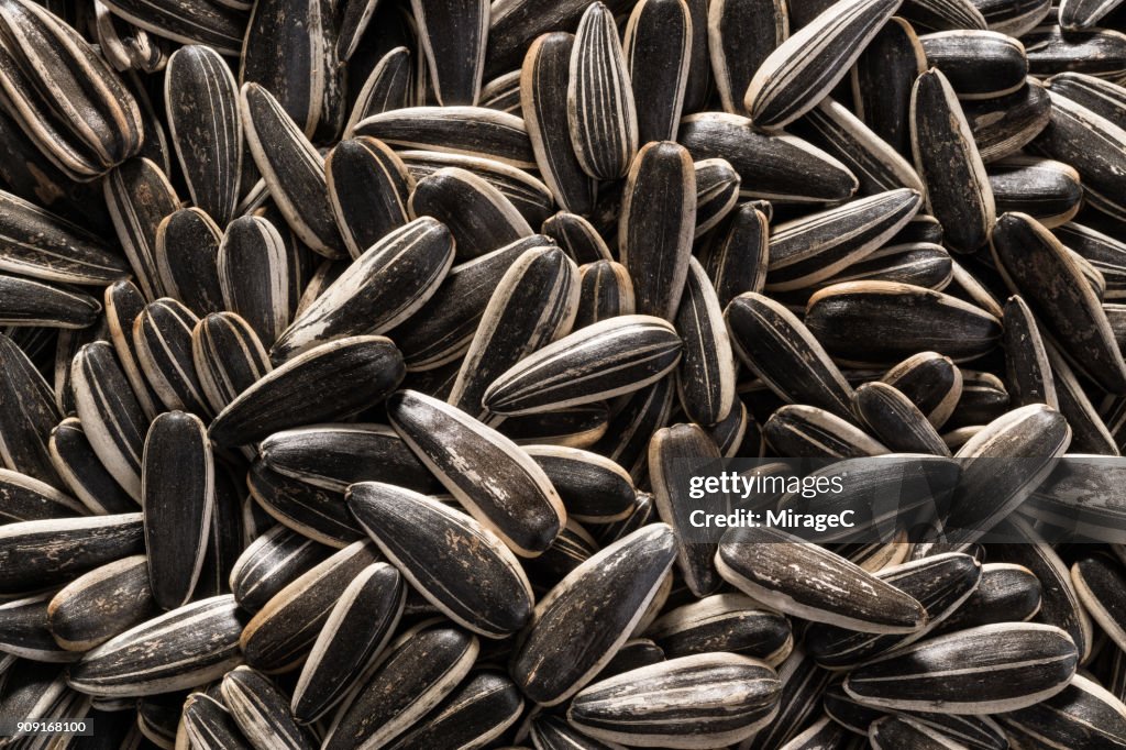 Sunflower Seeds