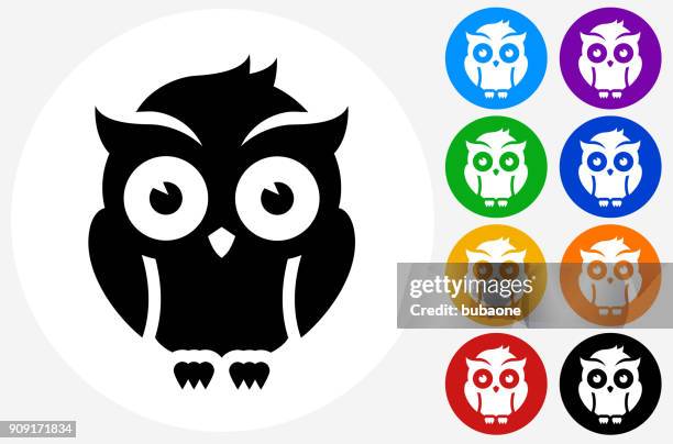 night owl. - owl eye stock illustrations