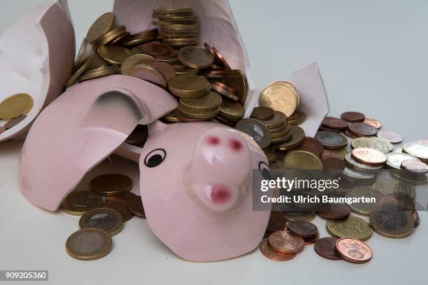 Symbol photo on the topics save up, conserve, household, state budget, interest rate, economy, etc. The picture shows a shattered piggy bank and...