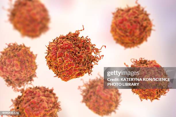 prostate cancer cells - cancer cell stock illustrations