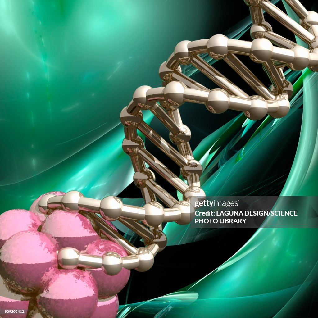 Normal Dna Cell Cell Cluster And Dna Molecule Illustration High-Res Vector Graphic ...