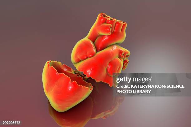 broken heart, conceptual illustration - rip science stock illustrations