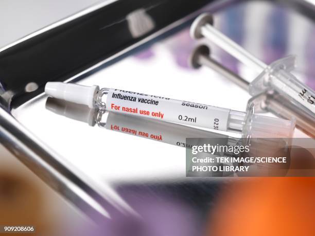 nasal flu vaccine - influenza vaccination stock pictures, royalty-free photos & images