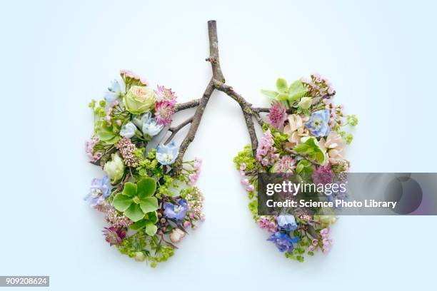 spring flowers representing human lungs - realismo-concettuale foto e immagini stock