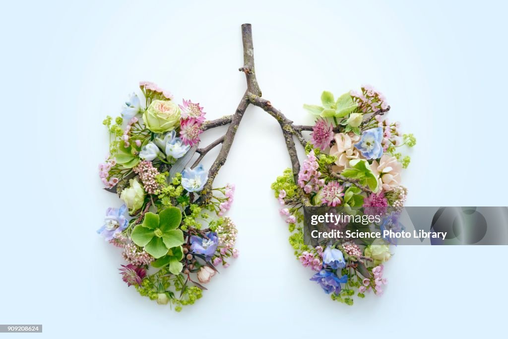 Spring flowers representing human lungs