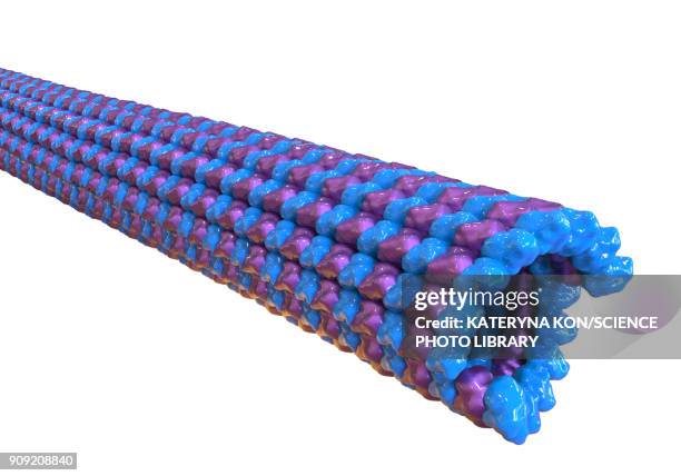 stockillustraties, clipart, cartoons en iconen met microtubules, illustration - neurofibrillary tangle