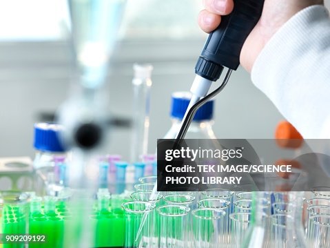 Expriments Lab Laboratory Experiment High-Res Stock Photo - Getty Images