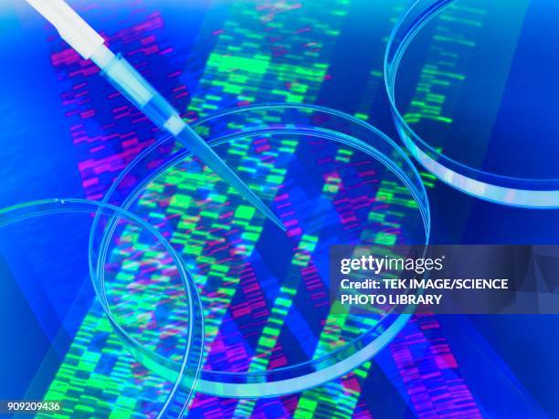 genetics research - pharma data analytics stock pictures, royalty-free photos & images