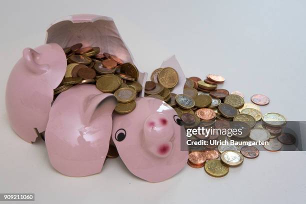 Symbol photo on the topics save up, conserve, household, state budget, interest rate, economy, etc. The picture shows a shattered piggy bank and...