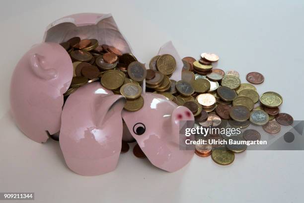 Symbol photo on the topics save up, conserve, household, state budget, interest rate, economy, etc. The picture shows a shattered piggy bank and...