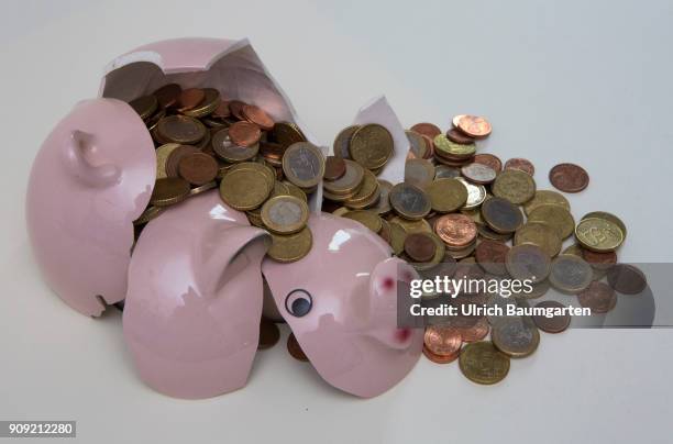 Symbol photo on the topics save up, conserve, household, state budget, interest rate, economy, etc. The picture shows a shattered piggy bank and...