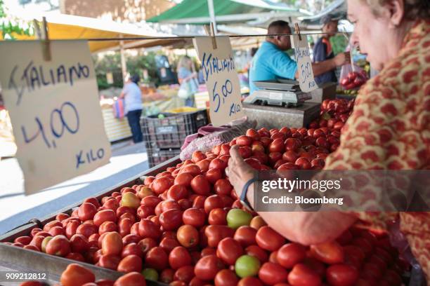 Customer browses tomatoes displayed for sale at a stall inside an outdoor market in Sao Paulo, Brazil, on Thursday, Jan. 11, 2018. The Getulio Vargas...