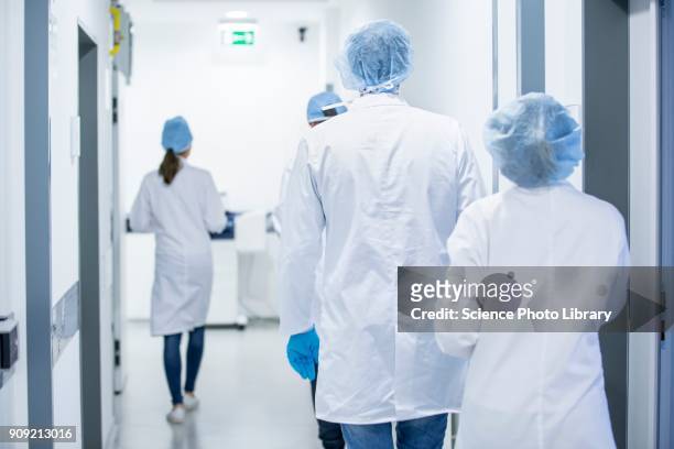 surgeons walking down hospital corridor - blouse blanche femme photos et images de collection