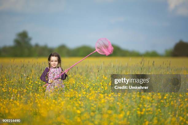 little girl wants to catch butterflys - butterfly net stock pictures, royalty-free photos & images