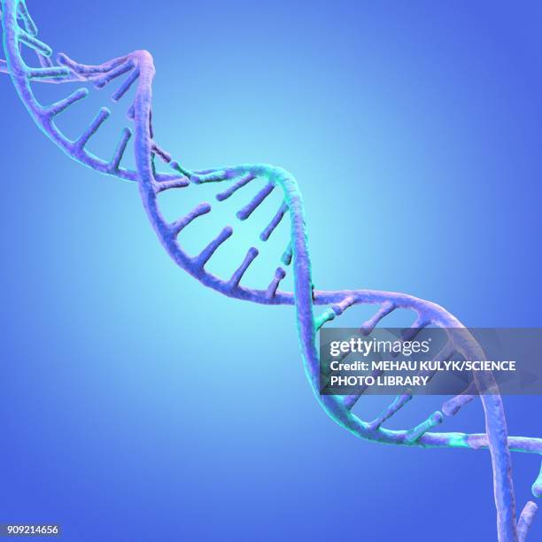 dna strand, illustration - helix stock-grafiken, -clipart, -cartoons und -symbole