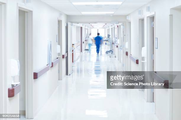 doctor walking down hospital corridor - hopital couloir photos et images de collection