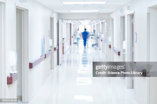 doctor walking down hospital corridor - corridor foto e immagini stock