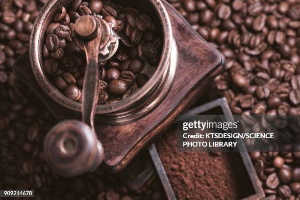 coffee beans and grinder - 挽く ストックフォトと画像