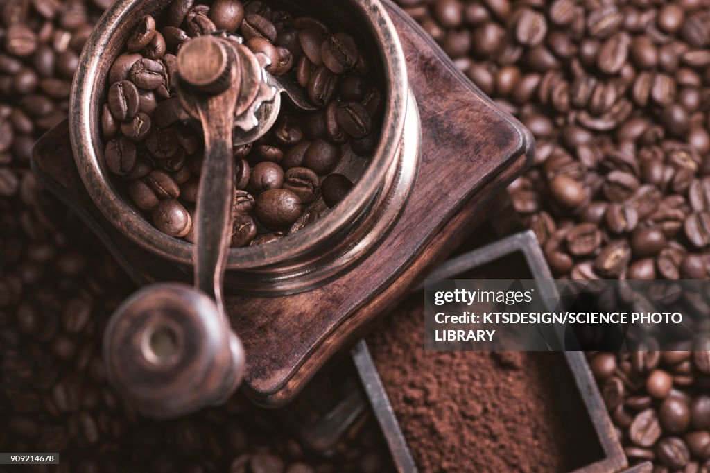 Coffee beans and grinder