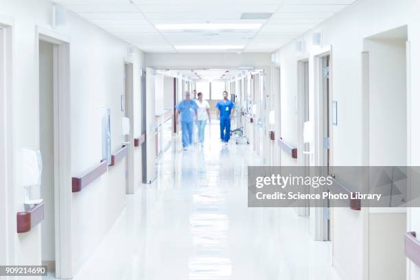 doctors walking down hospital corridor - hopital couloir photos et images de collection