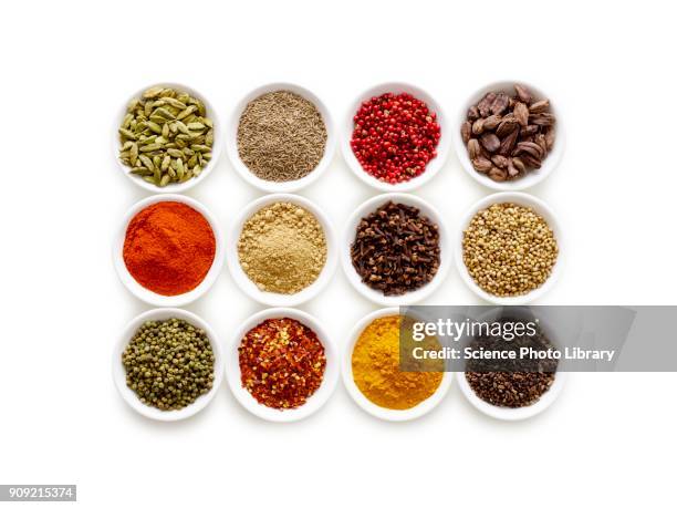 dried spices in small bowls - condimento fotografías e imágenes de stock