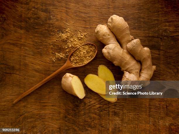 ginger root and powder - ginger stock pictures, royalty-free photos & images