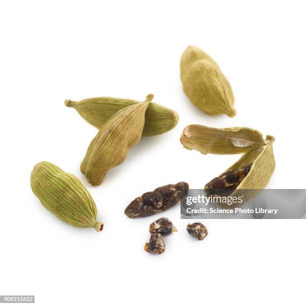 cardamom seeds - cardamom stock-fotos und bilder