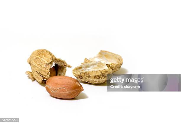 Broken Nut Shell 112 Broken Peanut Shell Stock Photos, High-Res Pictures, and Images ...