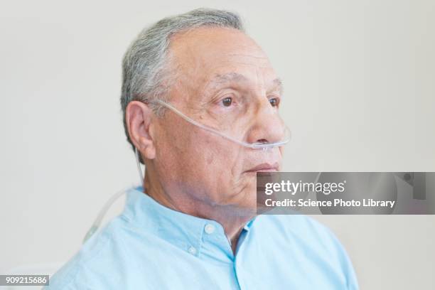 male patient with nasal cannula - nasal cannula foto e immagini stock