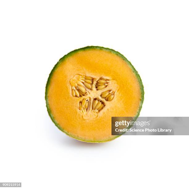 half a cantaloupe melon - melon stock pictures, royalty-free photos & images