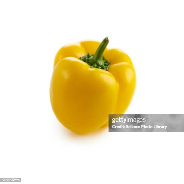 yellow pepper - gelbe paprika stock-fotos und bilder
