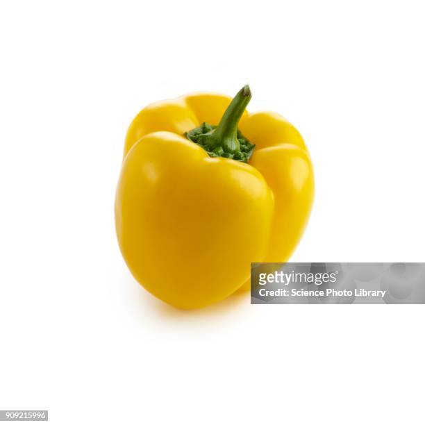 yellow pepper - gele paprika stockfoto's en -beelden