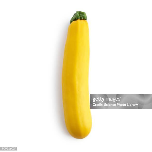 yellow courgette - summer squash on white stock pictures, royalty-free photos & images