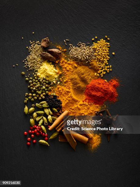 dried spices on black slate - spices photos et images de collection