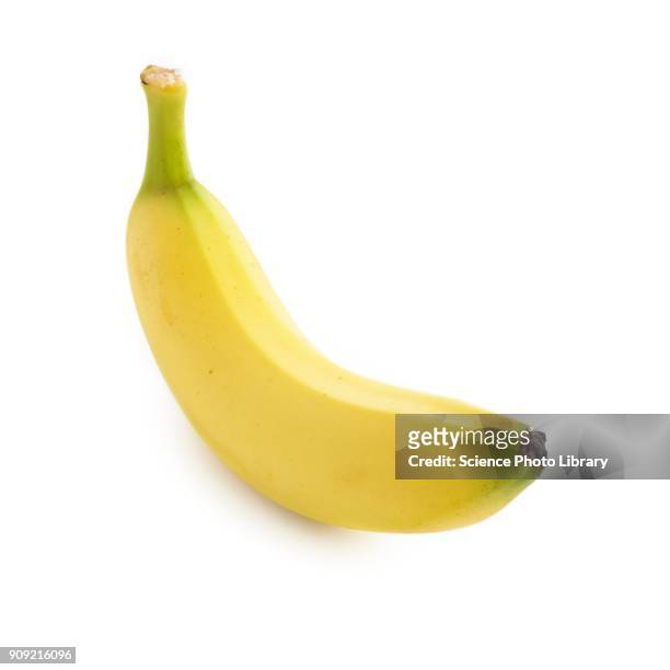 banana - banana ストックフォトと画像